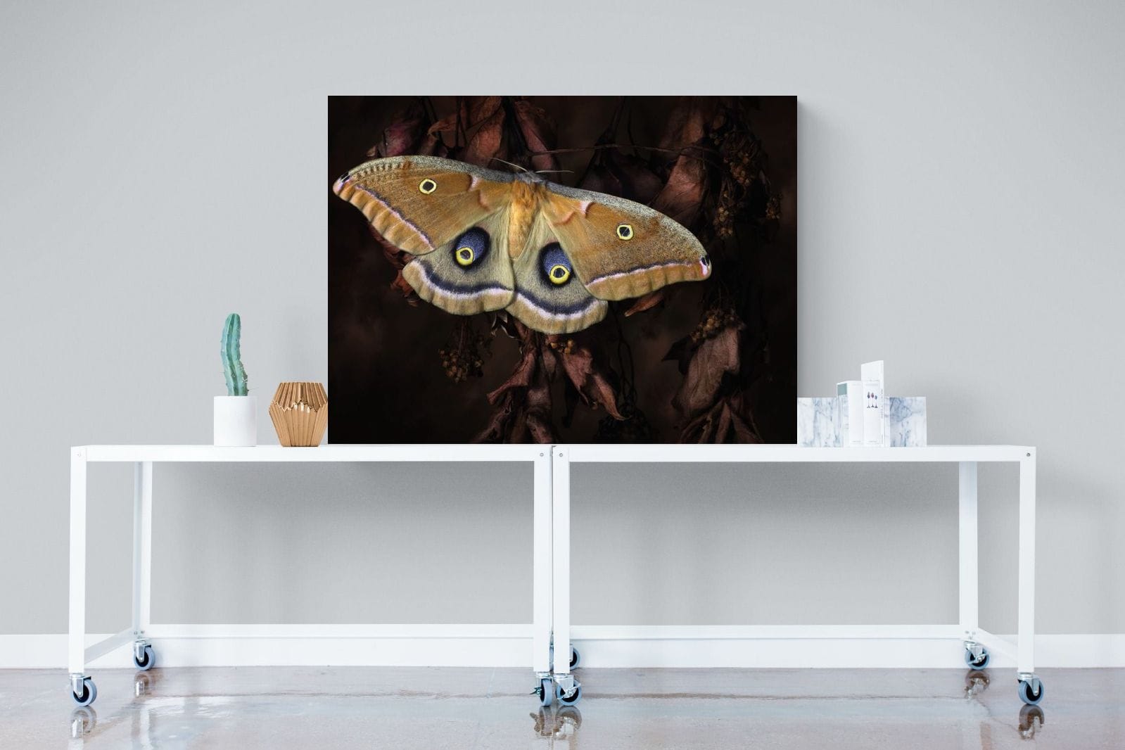 Polyphemus-Wall_Art-120 x 90cm-Mounted Canvas-No Frame-Pixalot