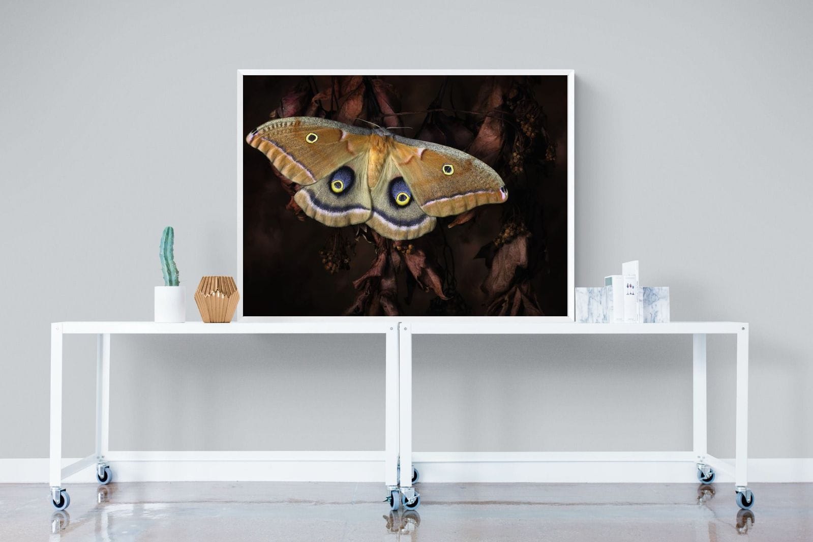 Polyphemus-Wall_Art-120 x 90cm-Mounted Canvas-White-Pixalot