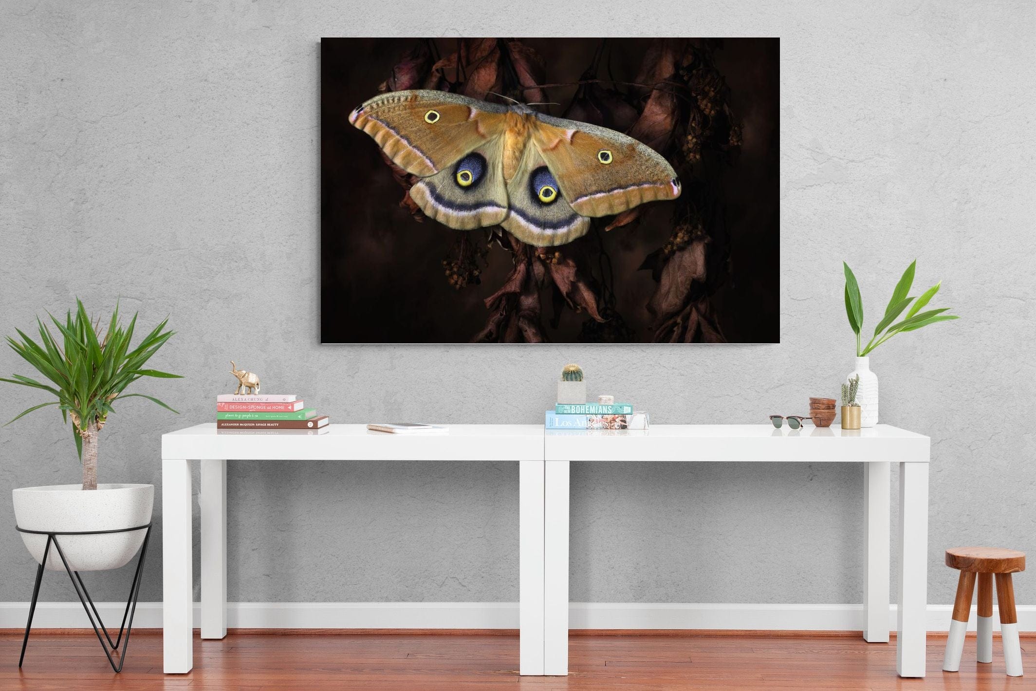 Polyphemus-Wall_Art-150 x 100cm-Mounted Canvas-No Frame-Pixalot