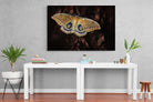 Polyphemus-Wall_Art-150 x 100cm-Mounted Canvas-No Frame-Pixalot