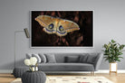 Polyphemus-Wall_Art-220 x 130cm-Mounted Canvas-White-Pixalot