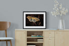 Polyphemus-Wall_Art-60 x 45cm-Framed Print-Black-Pixalot
