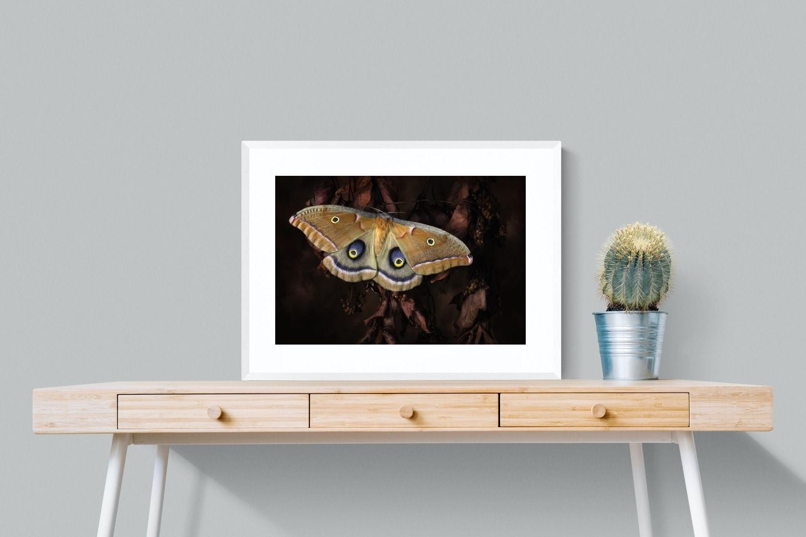 Polyphemus-Wall_Art-80 x 60cm-Framed Print-White-Pixalot