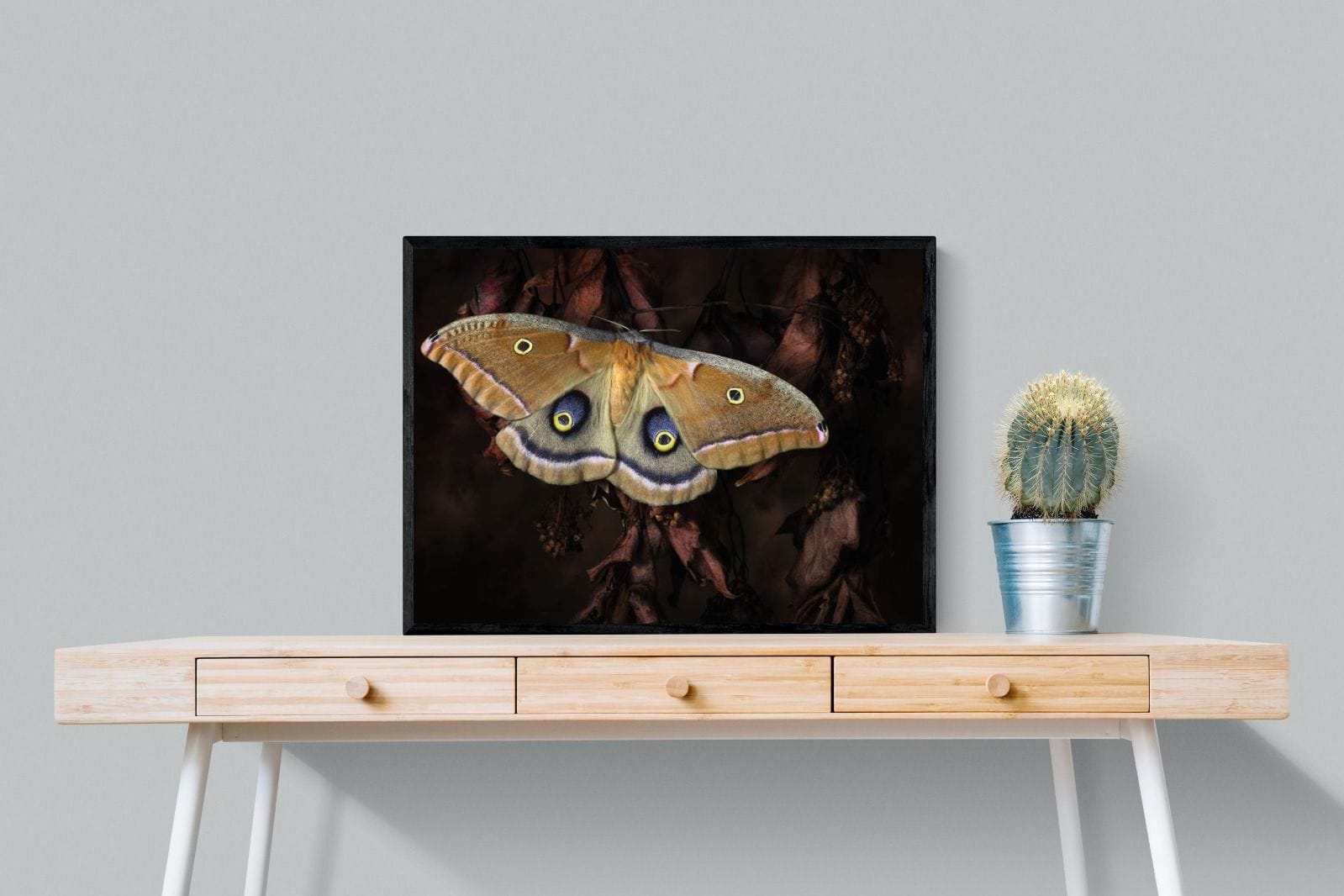 Polyphemus-Wall_Art-80 x 60cm-Mounted Canvas-Black-Pixalot