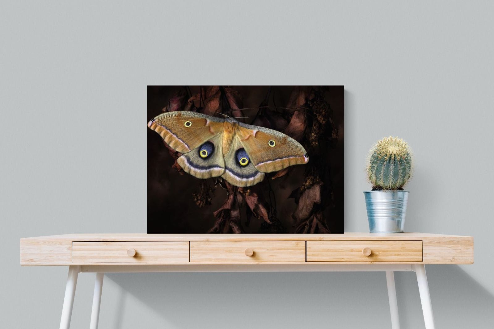 Polyphemus-Wall_Art-80 x 60cm-Mounted Canvas-No Frame-Pixalot