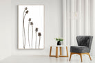 Poppy Pods-Wall_Art-130 x 220cm-Mounted Canvas-Wood-Pixalot
