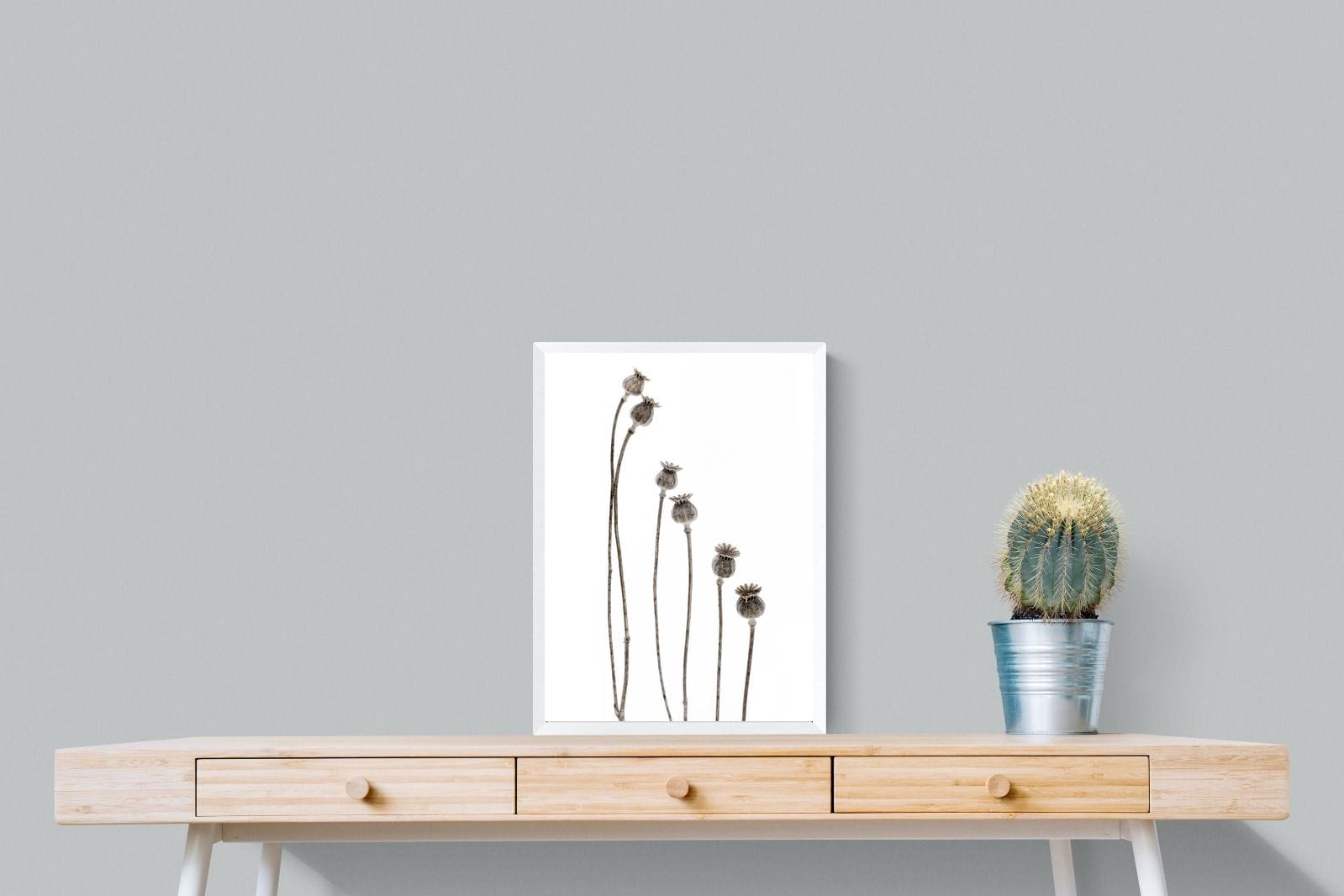 Poppy Pods-Wall_Art-45 x 60cm-Mounted Canvas-White-Pixalot