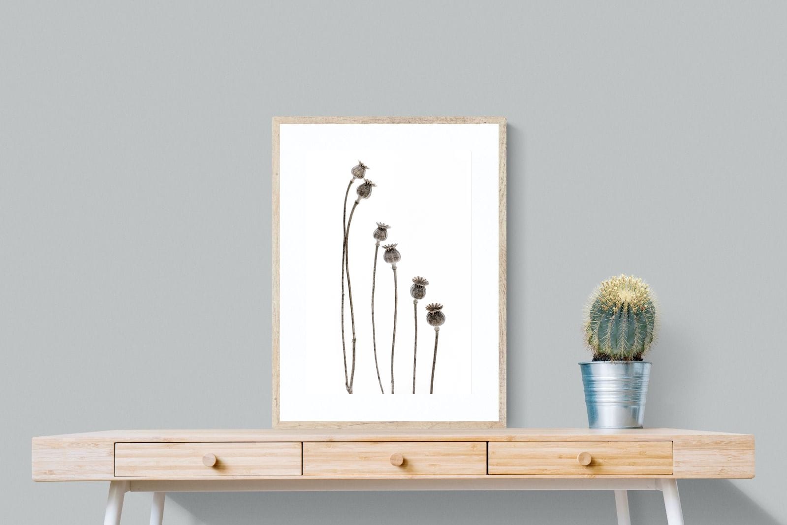 Poppy Pods-Wall_Art-60 x 80cm-Framed Print-Wood-Pixalot