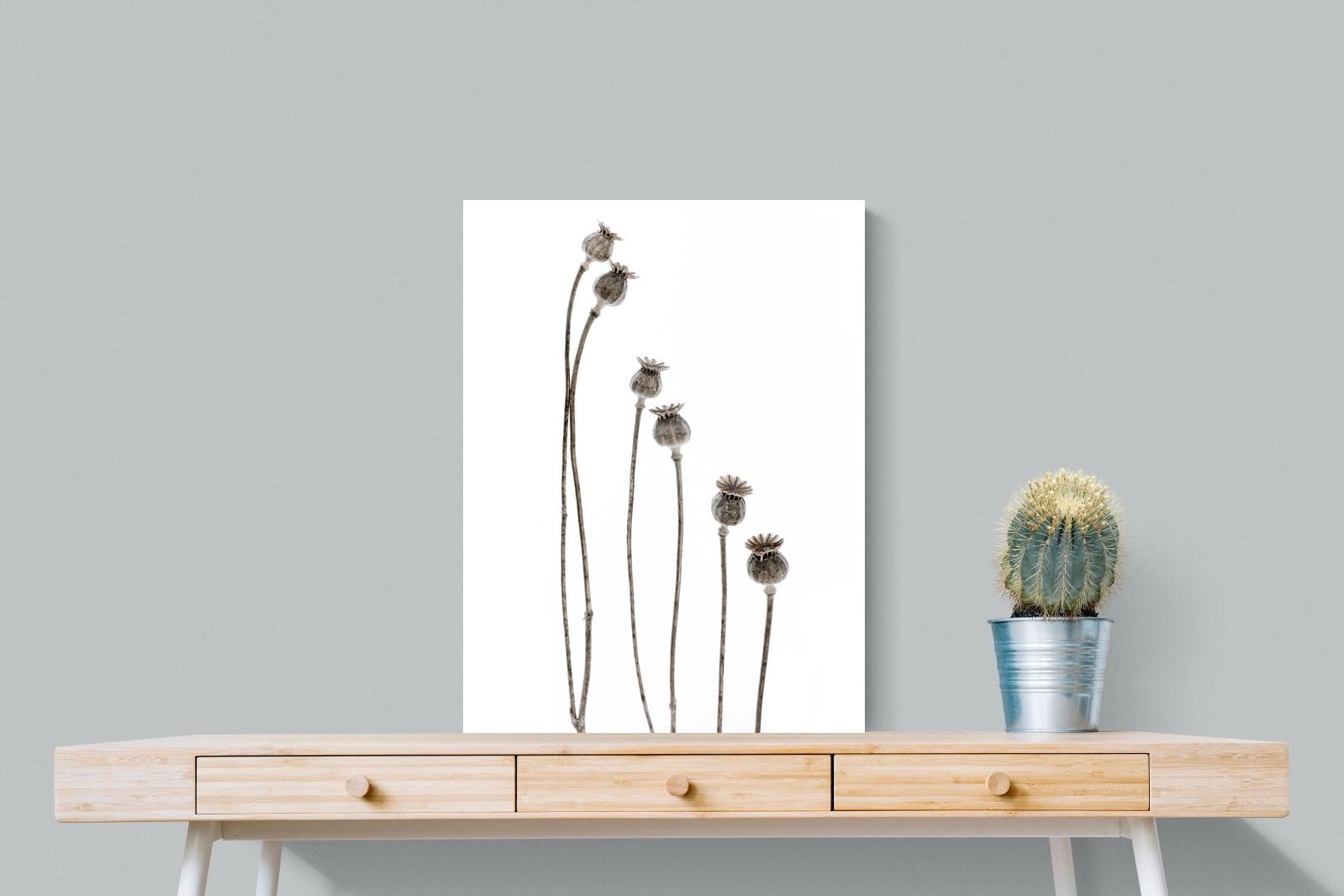 Poppy Pods-Wall_Art-60 x 80cm-Mounted Canvas-No Frame-Pixalot