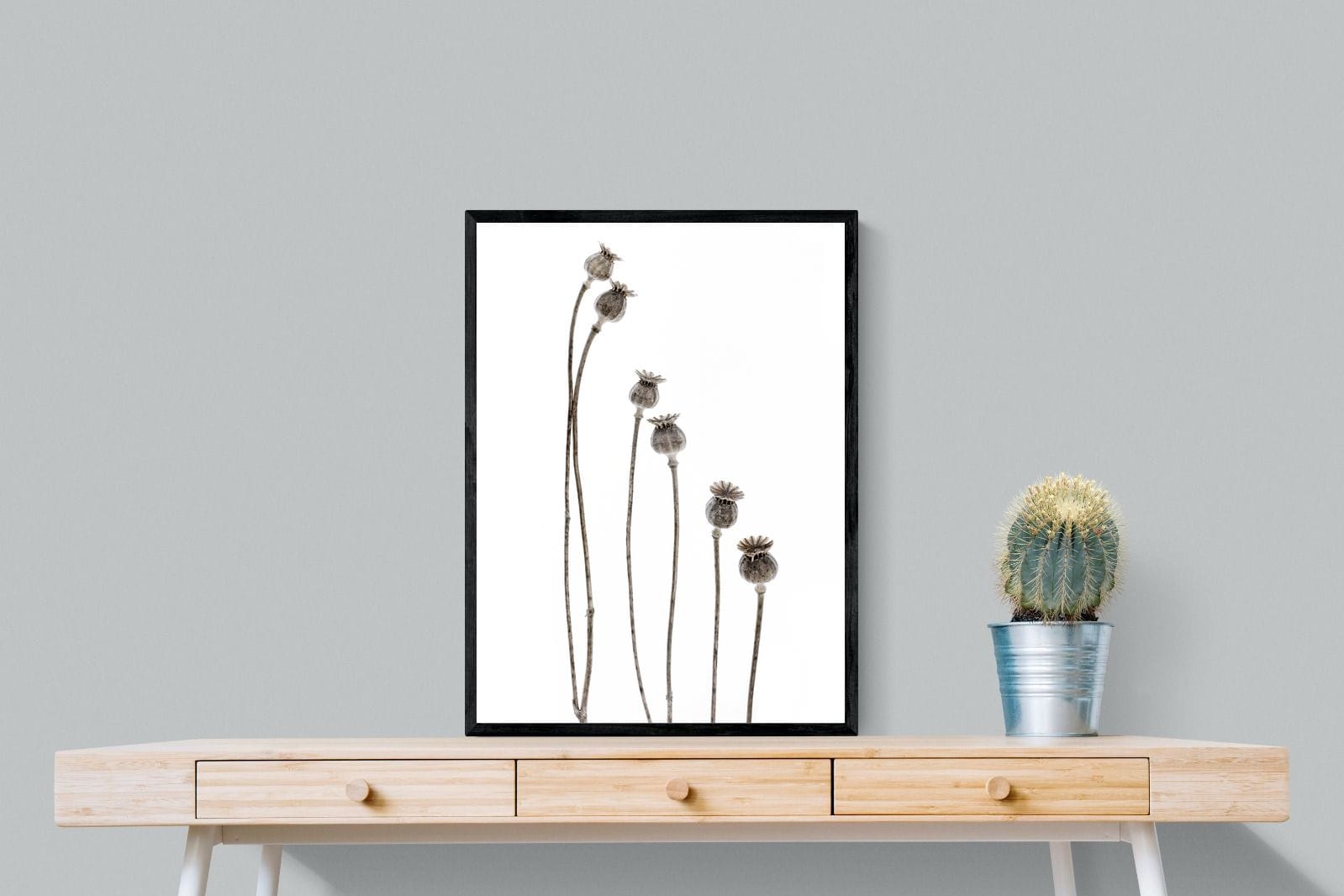 Poppy Pods-Wall_Art-60 x 80cm-Mounted Canvas-Black-Pixalot