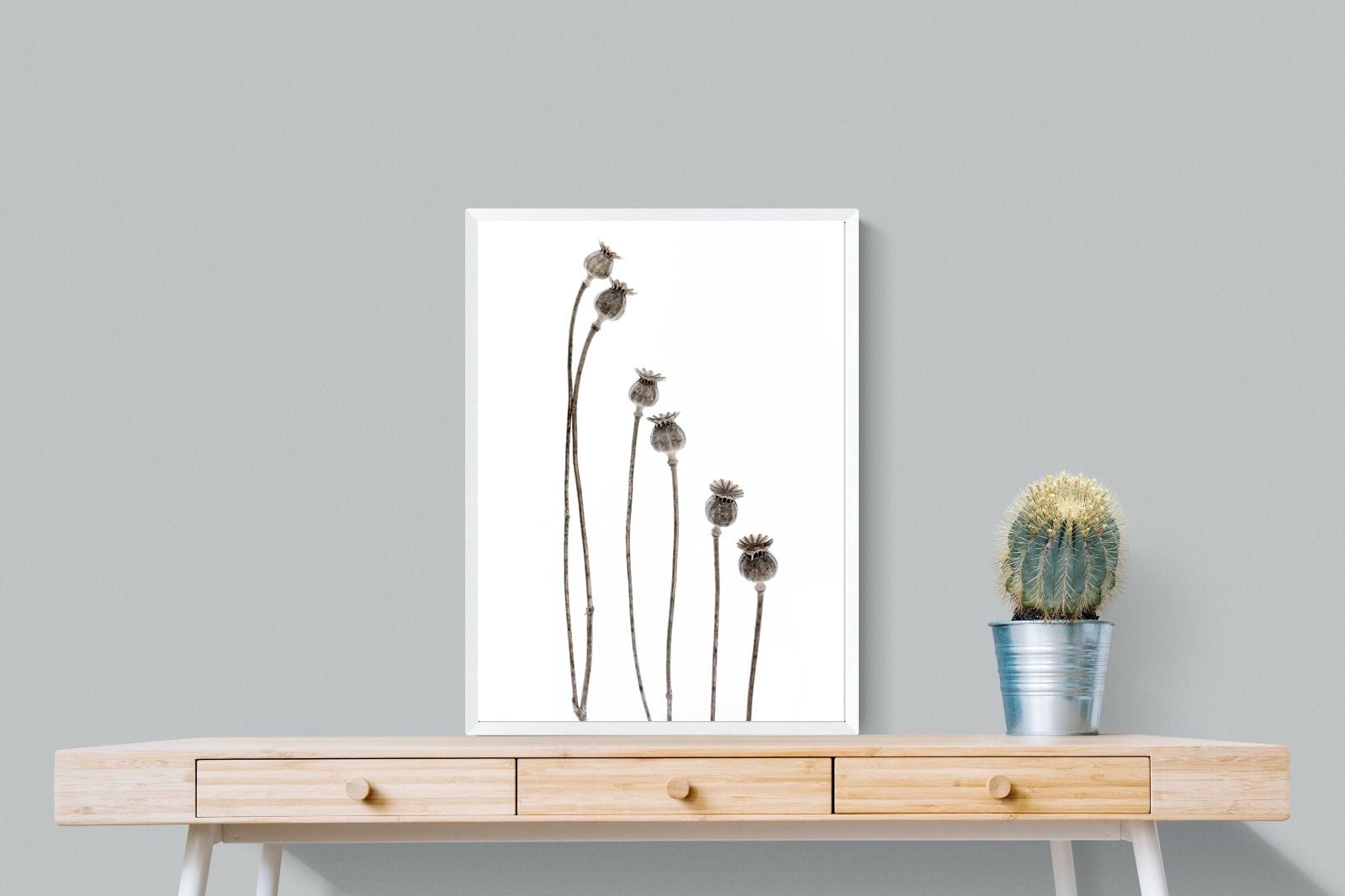 Poppy Pods-Wall_Art-60 x 80cm-Mounted Canvas-White-Pixalot