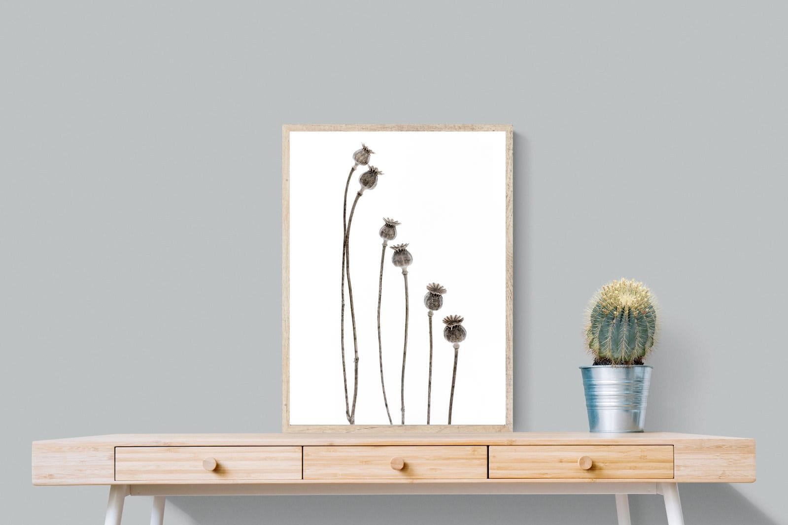 Poppy Pods-Wall_Art-60 x 80cm-Mounted Canvas-Wood-Pixalot