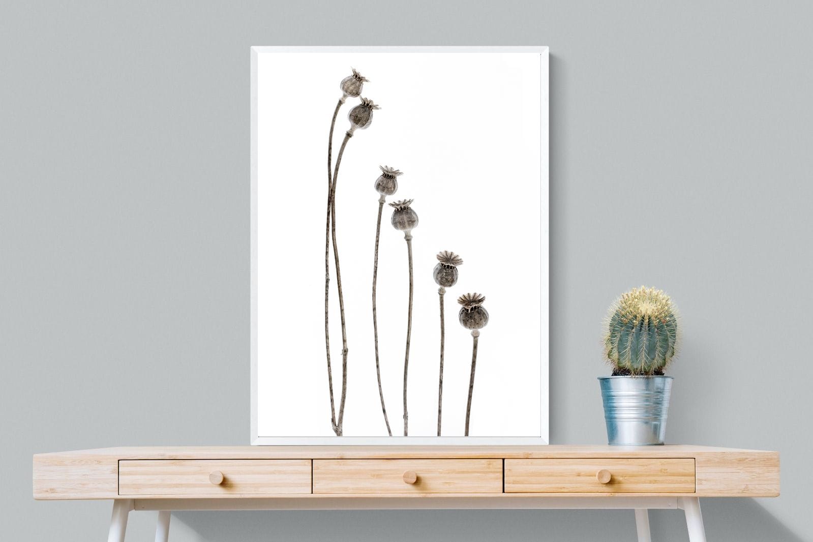 Poppy Pods-Wall_Art-75 x 100cm-Mounted Canvas-White-Pixalot