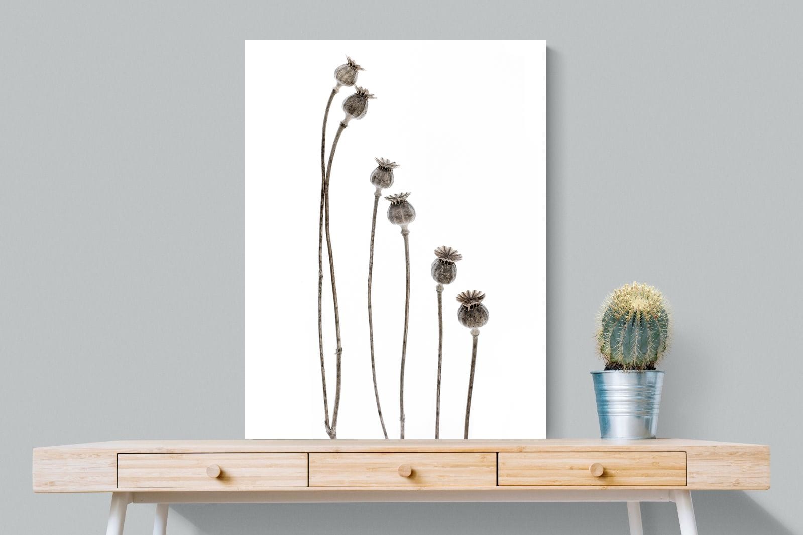 Poppy Pods-Wall_Art-75 x 100cm-Mounted Canvas-No Frame-Pixalot