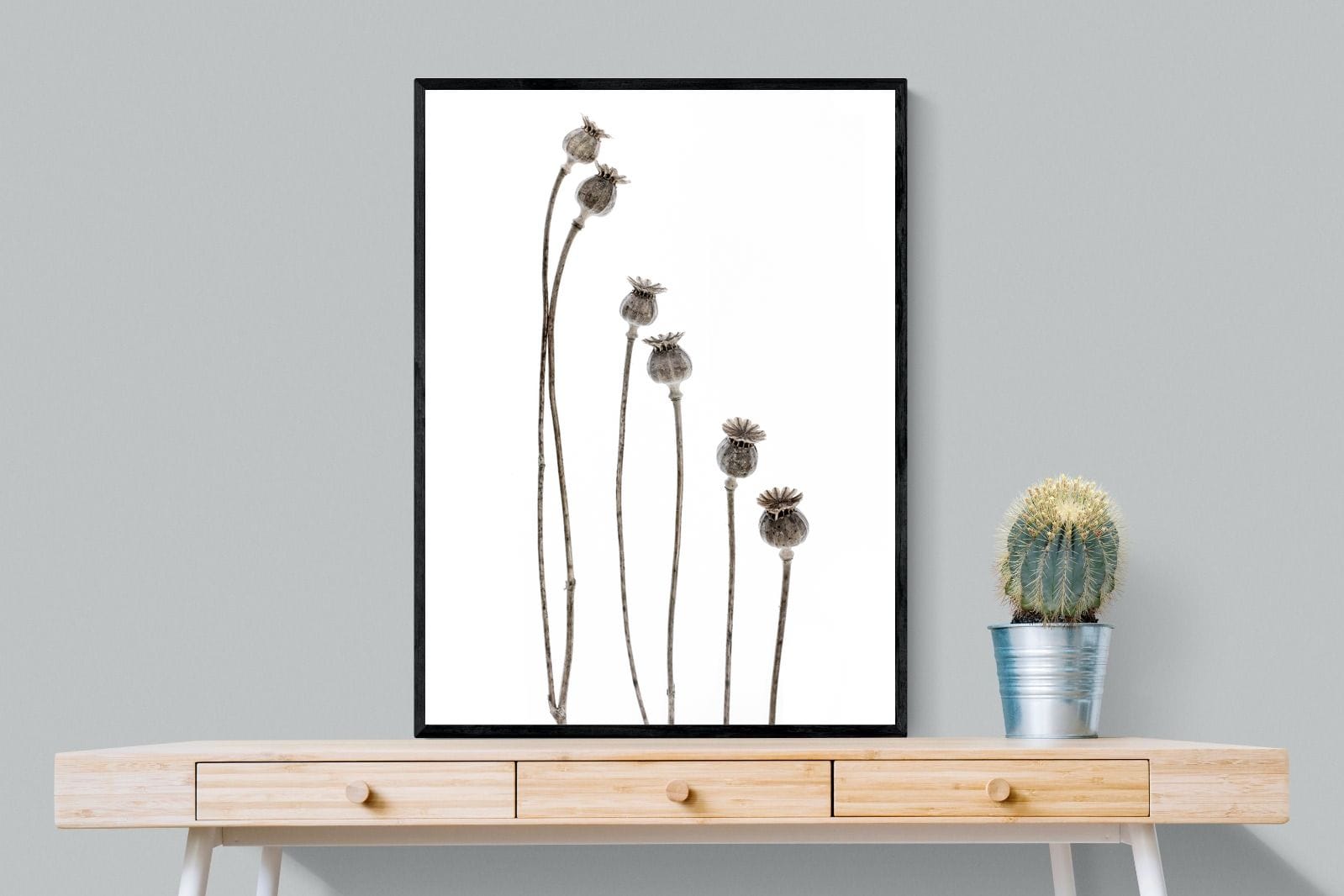 Poppy Pods-Wall_Art-75 x 100cm-Mounted Canvas-Black-Pixalot