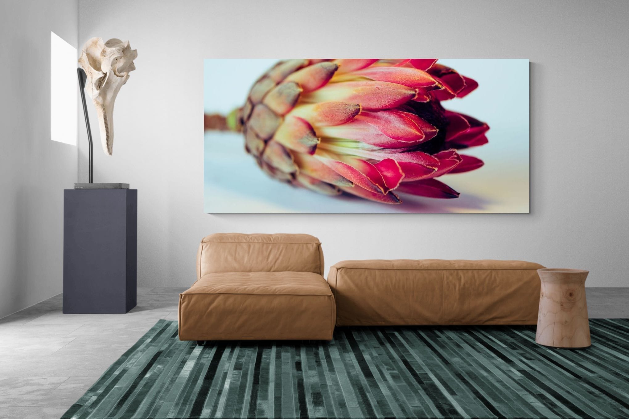 Pixalot Protea Still Life