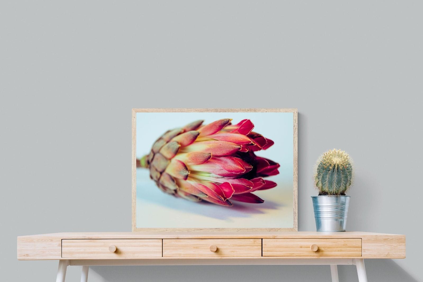 Protea Still Life-Wall_Art-Pixalot