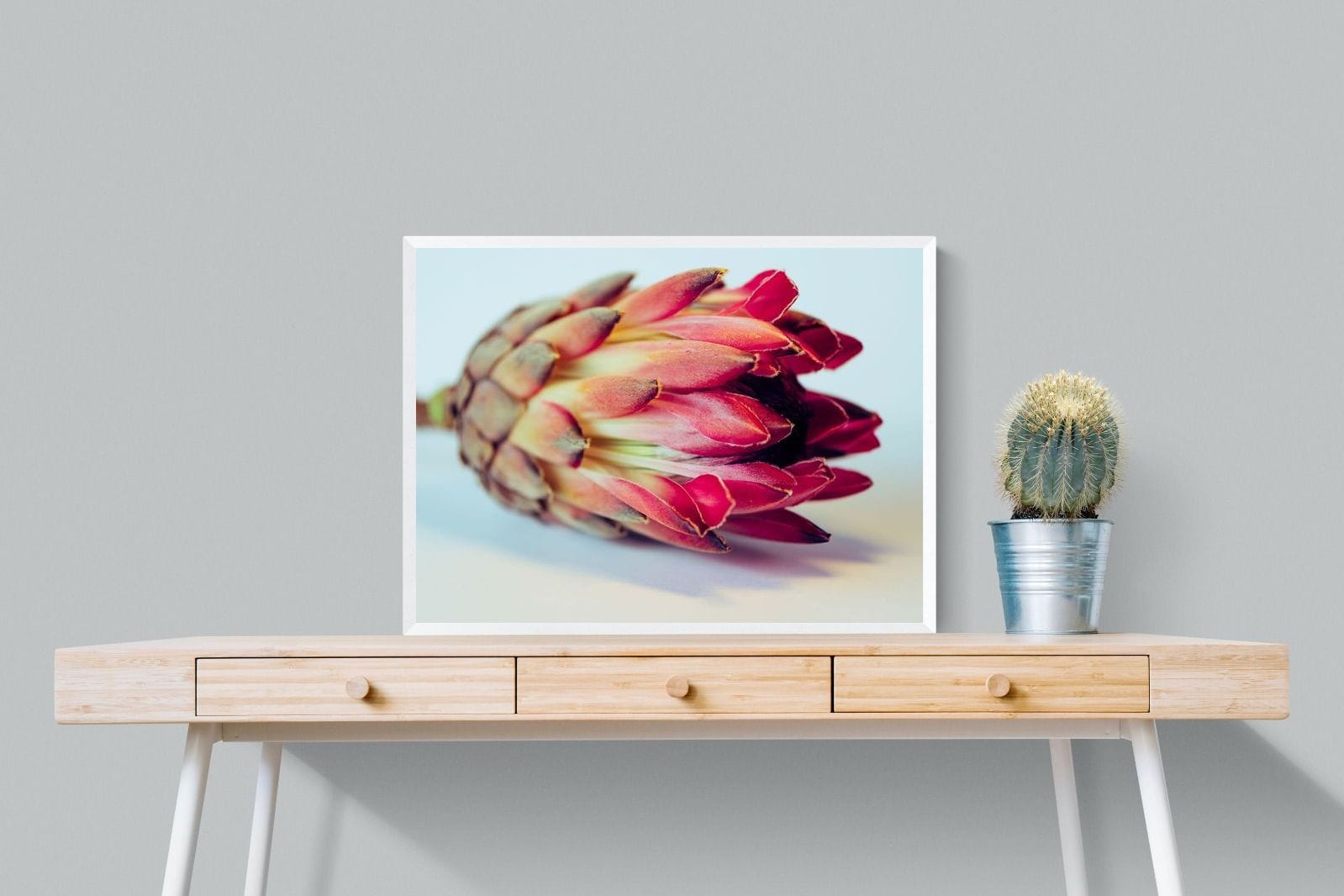 Protea Still Life-Wall_Art-Pixalot