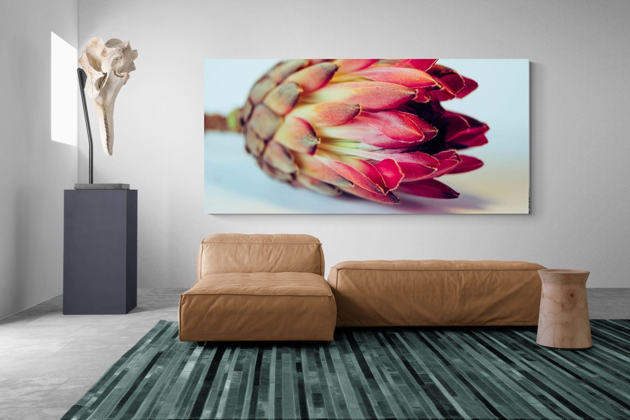 Protea Still Life-Wall_Art-Pixalot