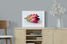 Protea Still Life-Wall_Art-60 x 45cm-Framed Print-White-Pixalot