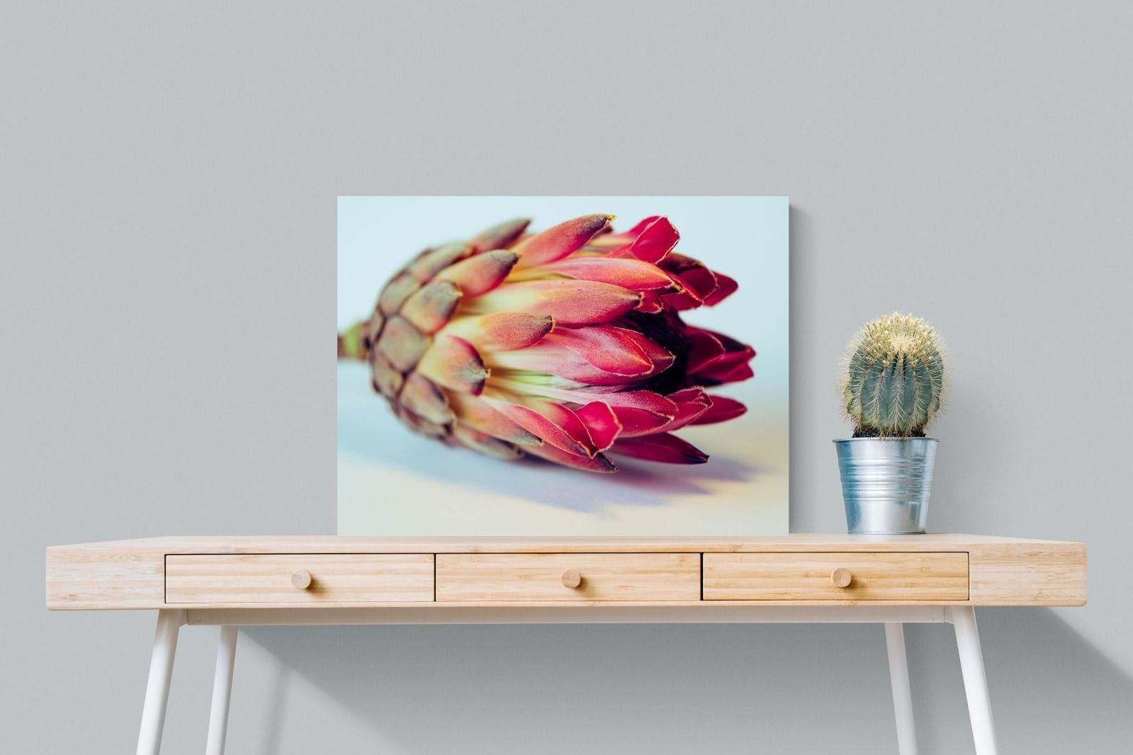 Protea Still Life-Wall_Art-80 x 60cm-Mounted Canvas-No Frame-Pixalot