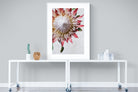 Pixalot Red King Protea