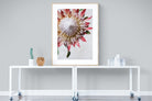Pixalot Red King Protea