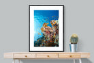 Reef-Wall_Art-75 x 100cm-Framed Print-Black-Pixalot