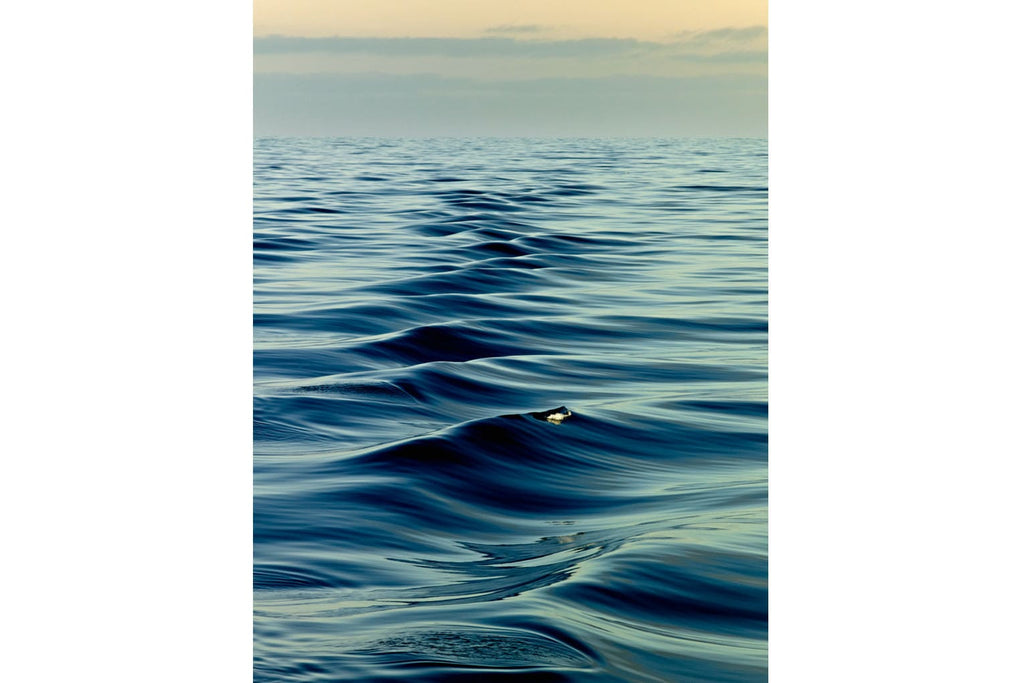 Ripples-Wall_Art-Pixalot