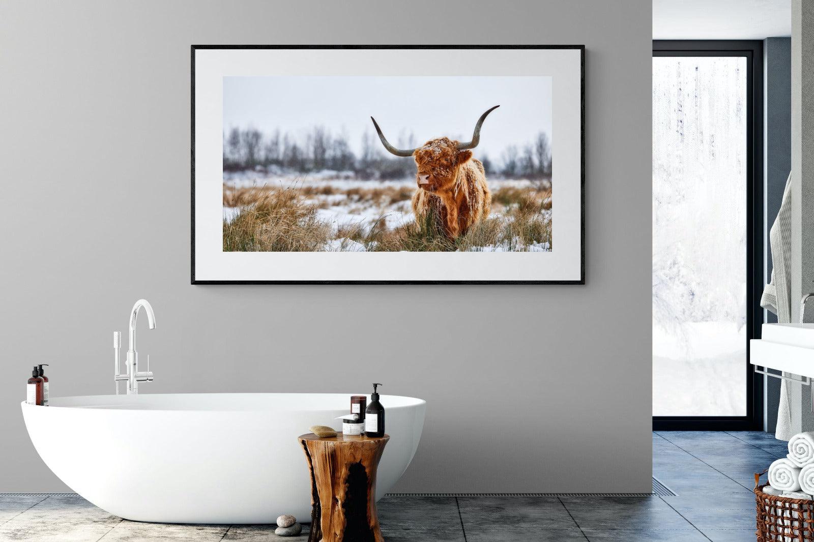 Scottish Highlander (colour)-Wall_Art-180 x 110cm-Framed Print-Black-Pixalot