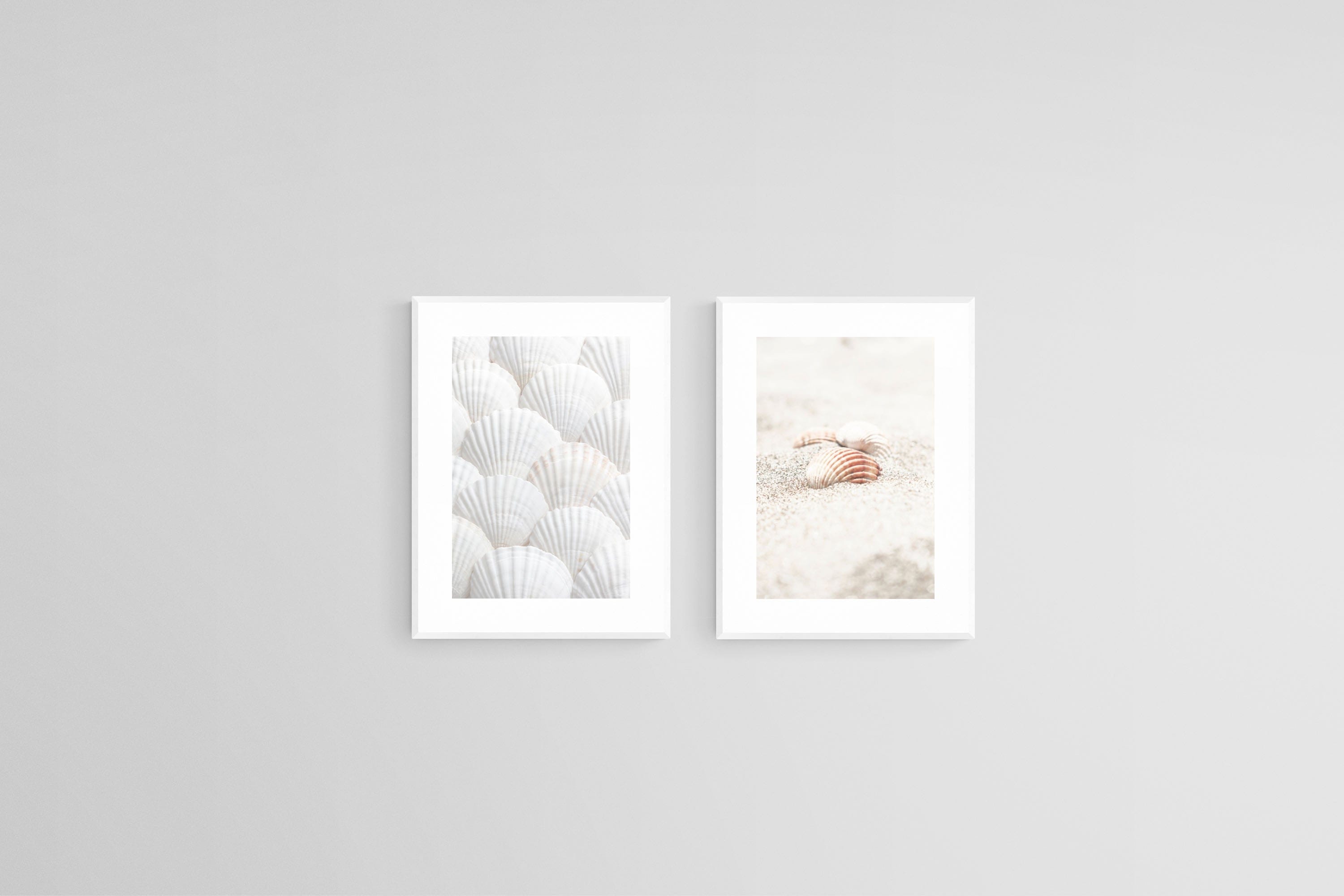 Seashell Set-Wall_Art-45 x 60cm (x2)-Framed Print-White-Pixalot