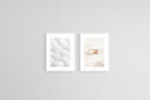 Seashell Set-Wall_Art-45 x 60cm (x2)-Framed Print-White-Pixalot