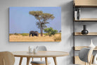 Pixalot Shady Elephant
