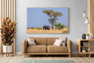 Pixalot Shady Elephant