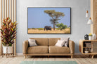 Pixalot Shady Elephant