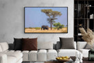 Pixalot Shady Elephant