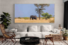 Pixalot Shady Elephant