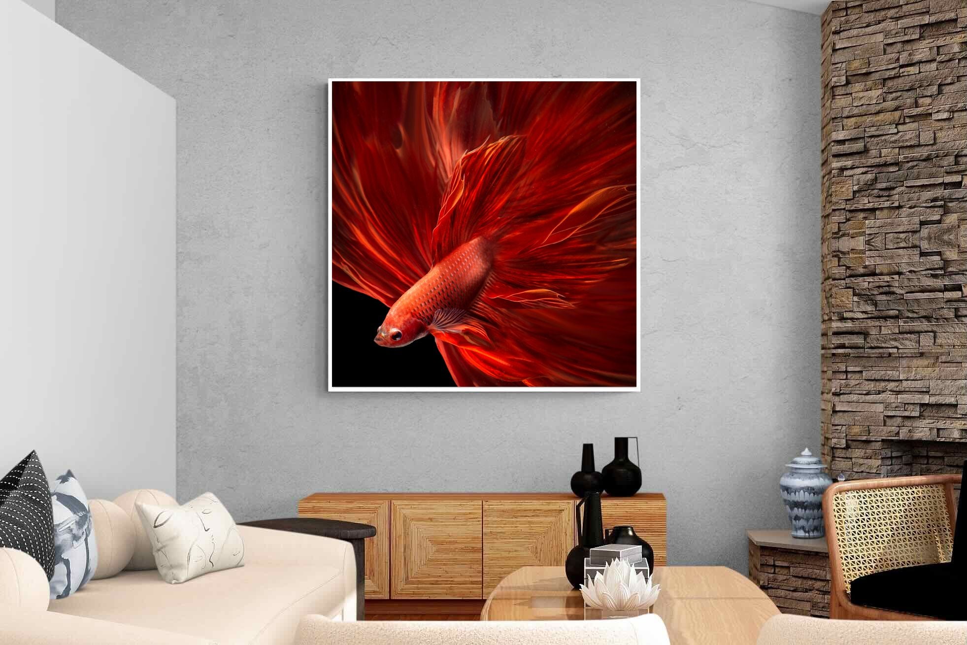 Pixalot Siamese Fighting Fish