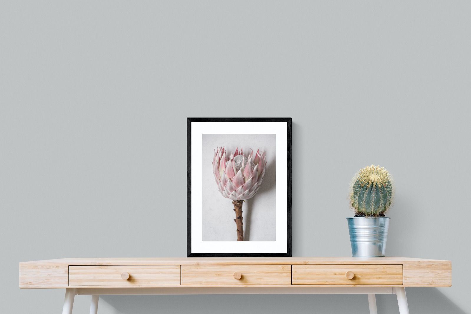 Pixalot Single Pink King Protea