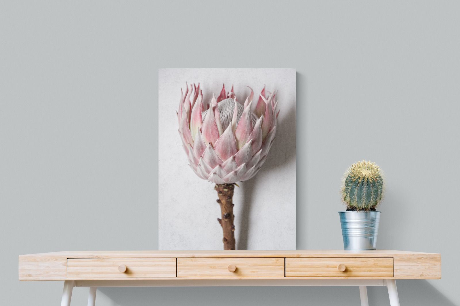 Pixalot Single Pink King Protea