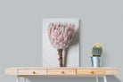 Pixalot Single Pink King Protea
