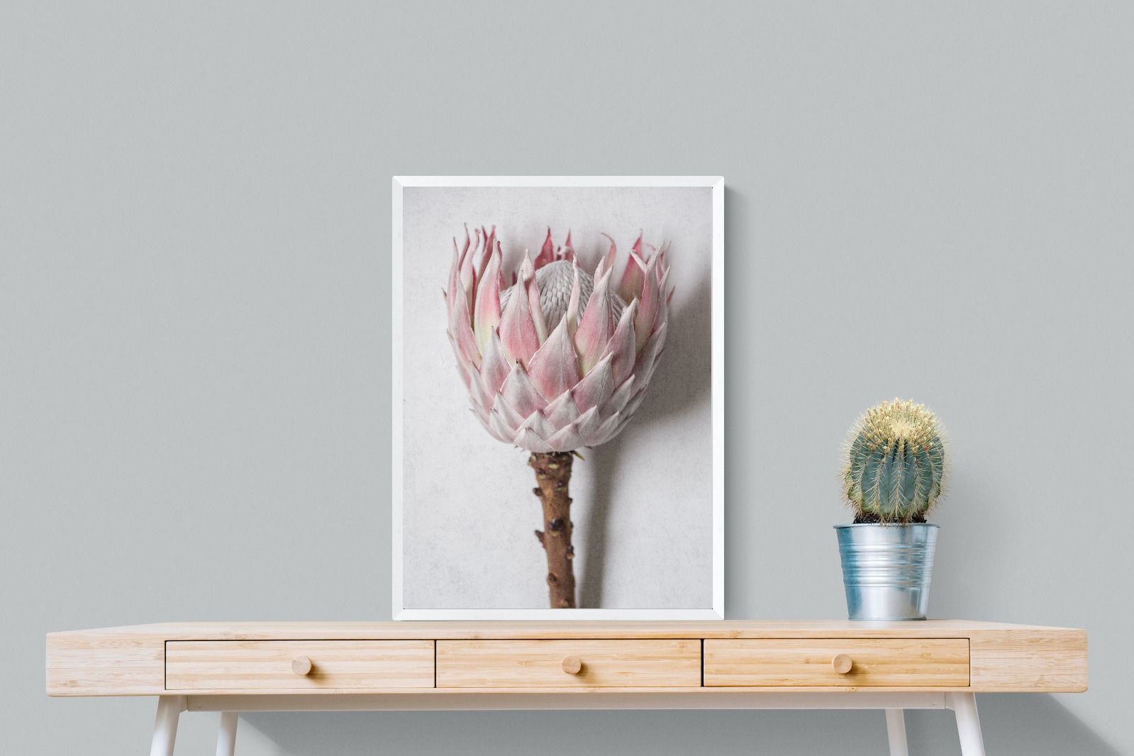 Pixalot Single Pink King Protea