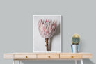 Pixalot Single Pink King Protea