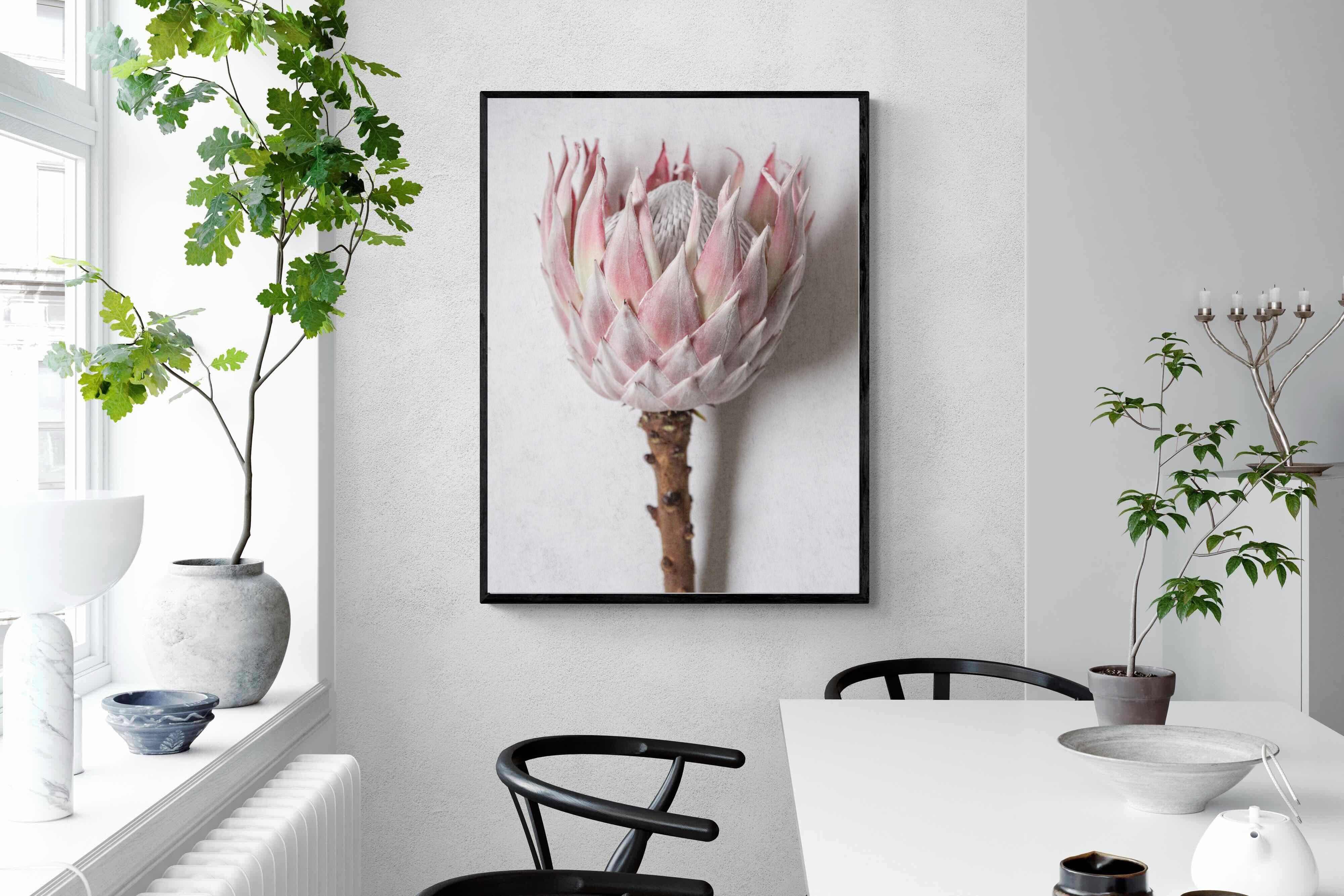 Pixalot Single Pink King Protea