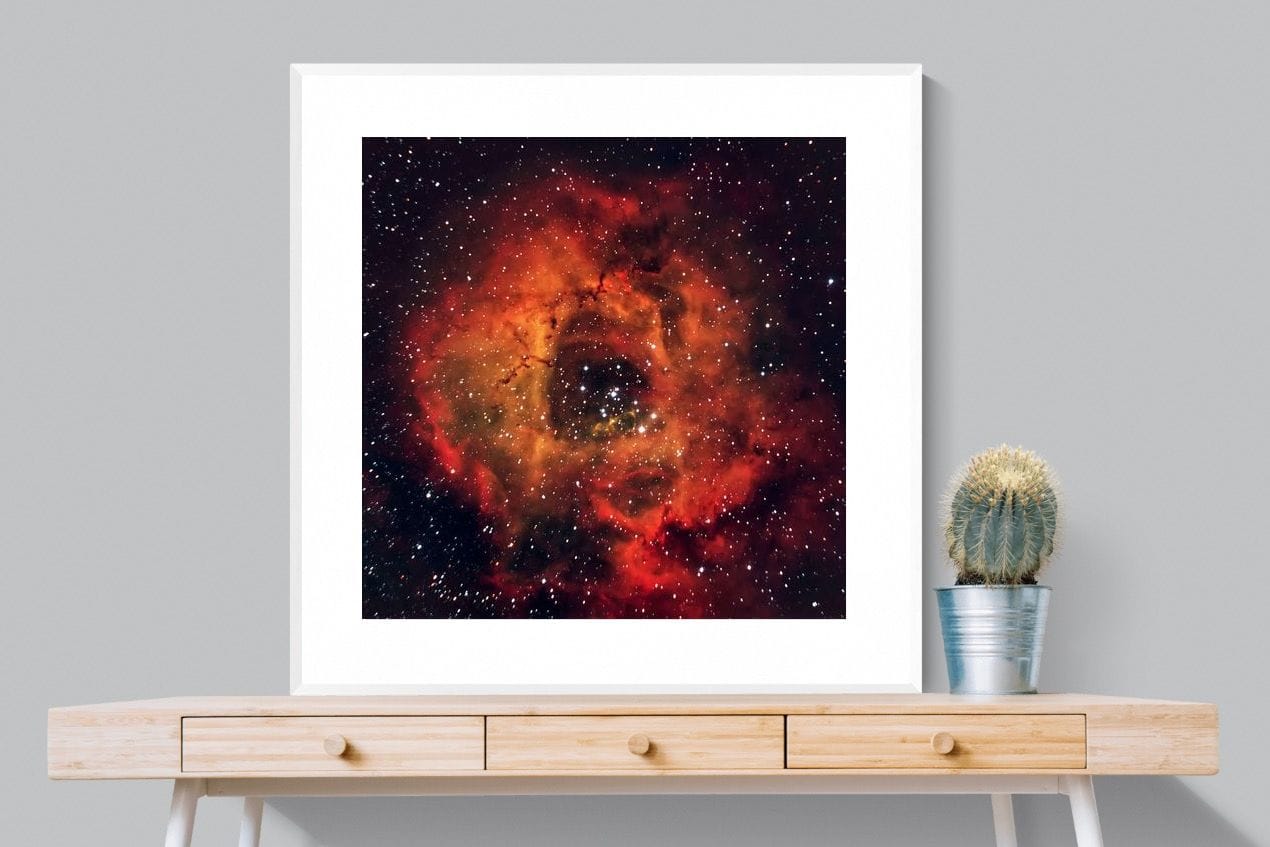 Sky Rose-Wall_Art-100 x 100cm-Framed Print-White-Pixalot