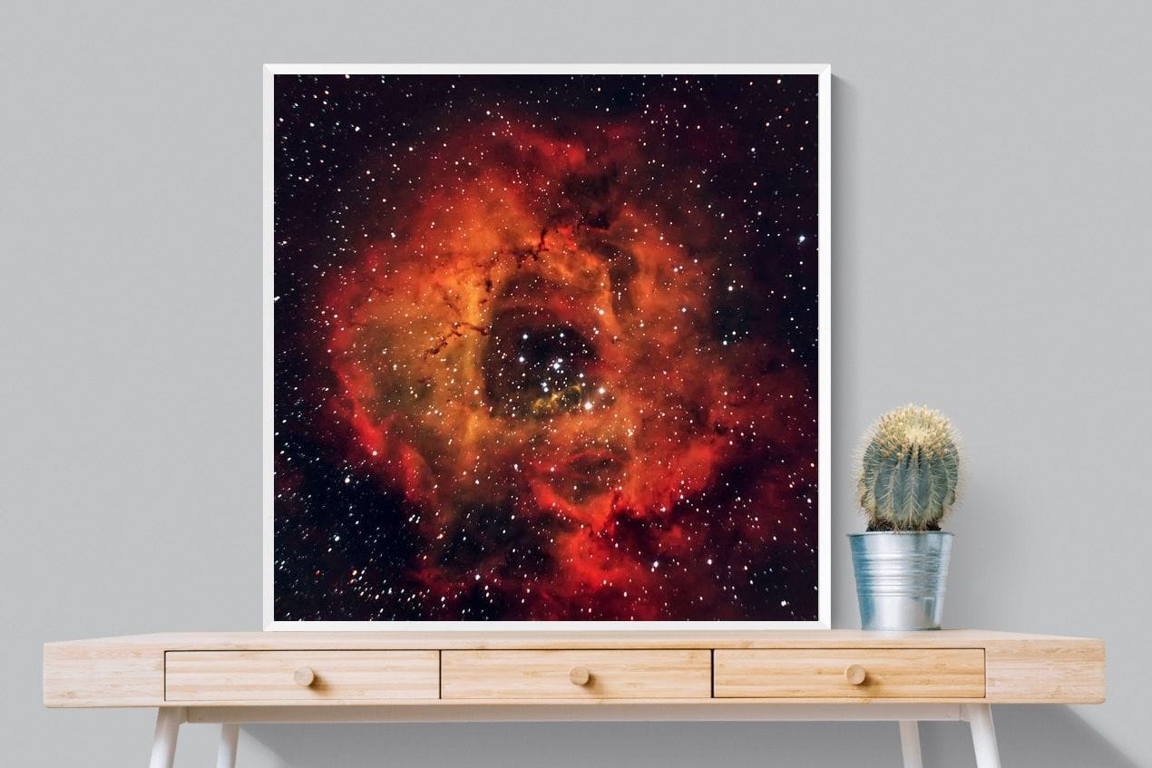 Sky Rose-Wall_Art-100 x 100cm-Mounted Canvas-White-Pixalot