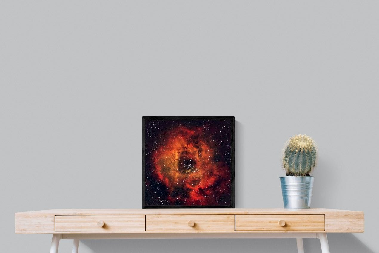 Sky Rose-Wall_Art-50 x 50cm-Mounted Canvas-Black-Pixalot