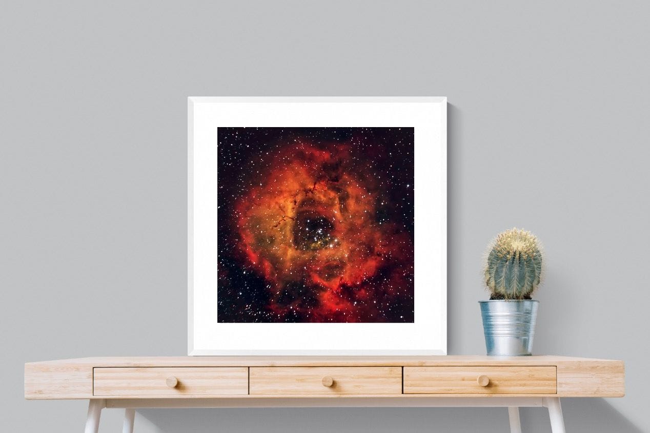 Sky Rose-Wall_Art-80 x 80cm-Framed Print-White-Pixalot