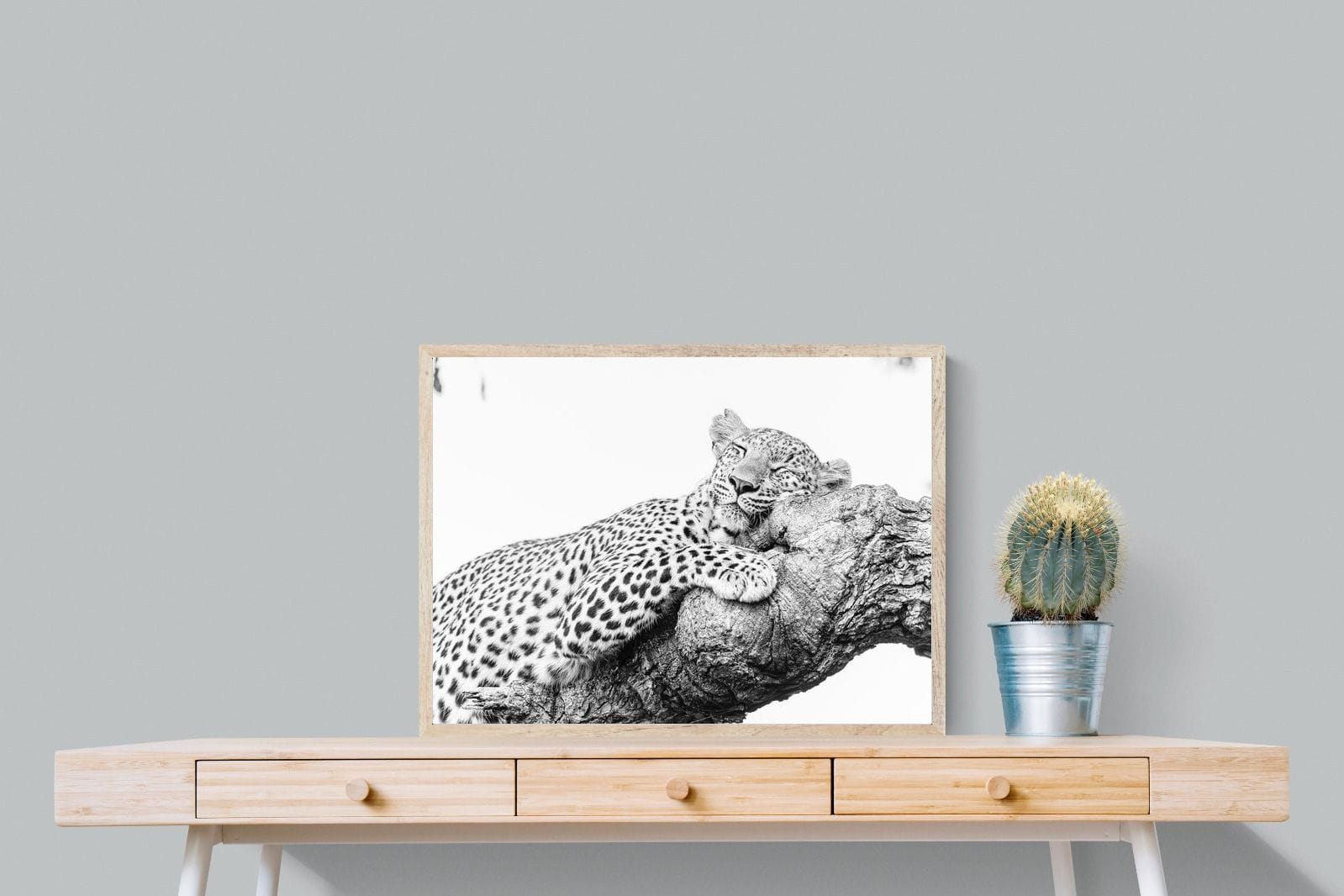 Sleeping Leopard-Wall_Art-80 x 60cm-Mounted Canvas-Wood-Pixalot