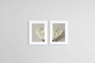 Split White King Protea Set-Wall_Art-45 x 60cm (x2)-Framed Print-White-Pixalot